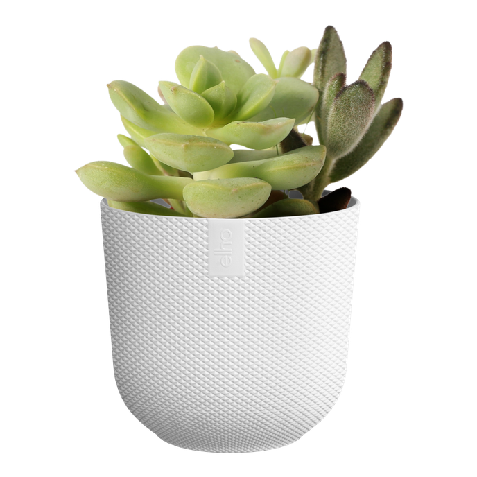 jazz rund mini 11cm seidenweiß